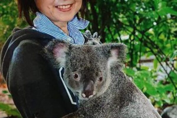 渥美博美様コアラ